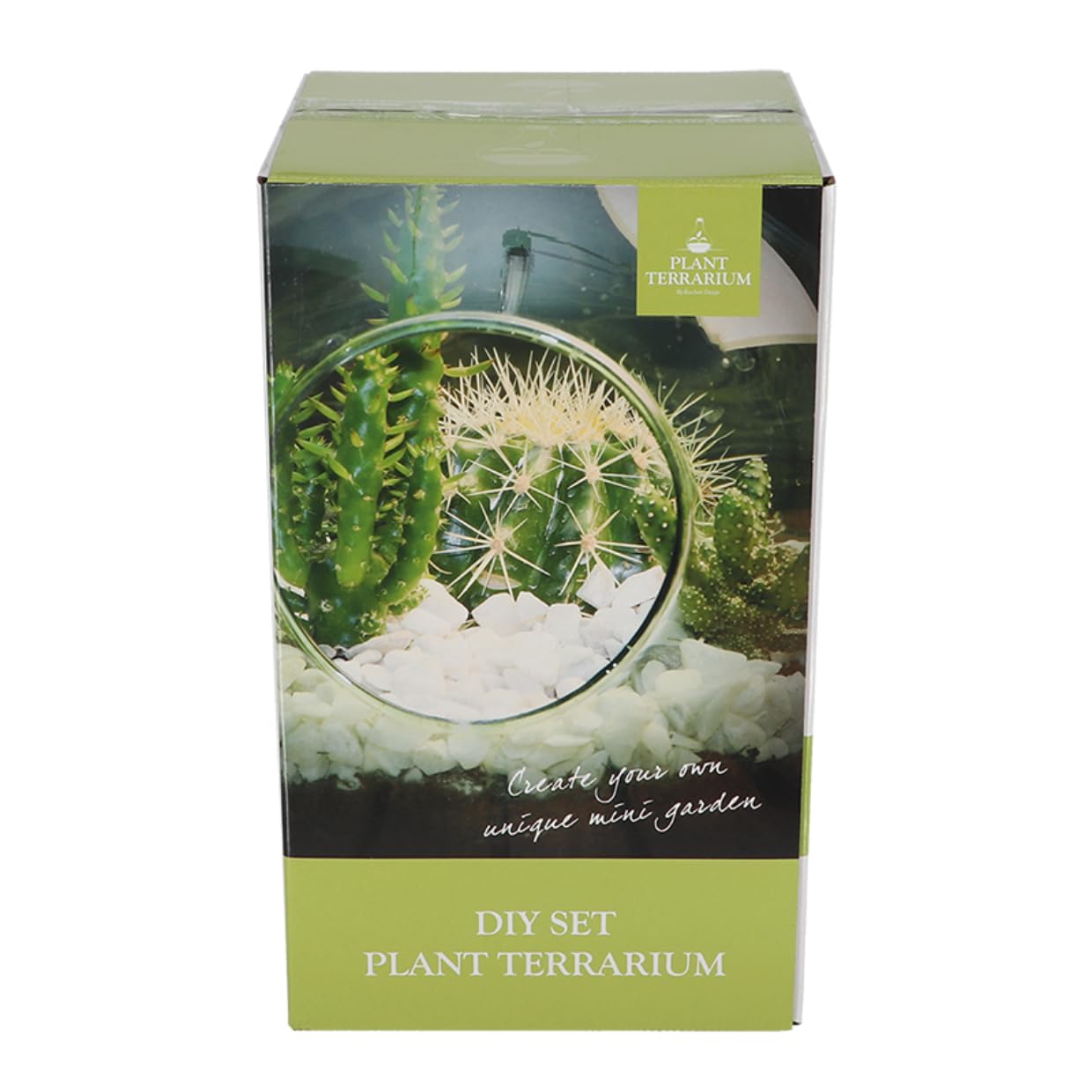 Eschert Design - 3 Liter DIY Glass Plant Terrarium Kit for Succulents, Air Plants & Home Decor | Perfect for Indoor Gardening, Office Desk & Gift Ideas