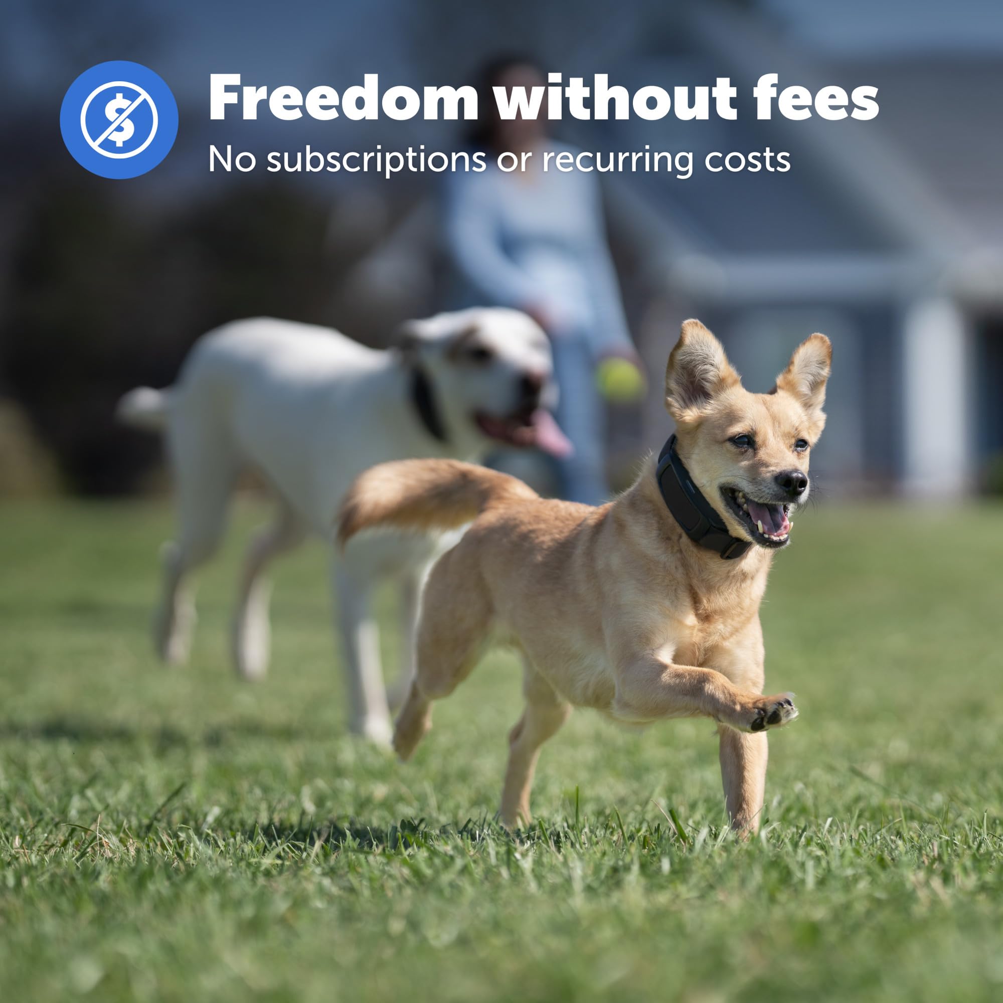 PetSafe Guardian GPS Dog Fence System - Wireless No Subscription Dog Containment for Large Yards (3/4+ Acres) - Safe GPS Tracking Collar for Dogs - Perfect for Backyard Security & Outdoor Pet Safety