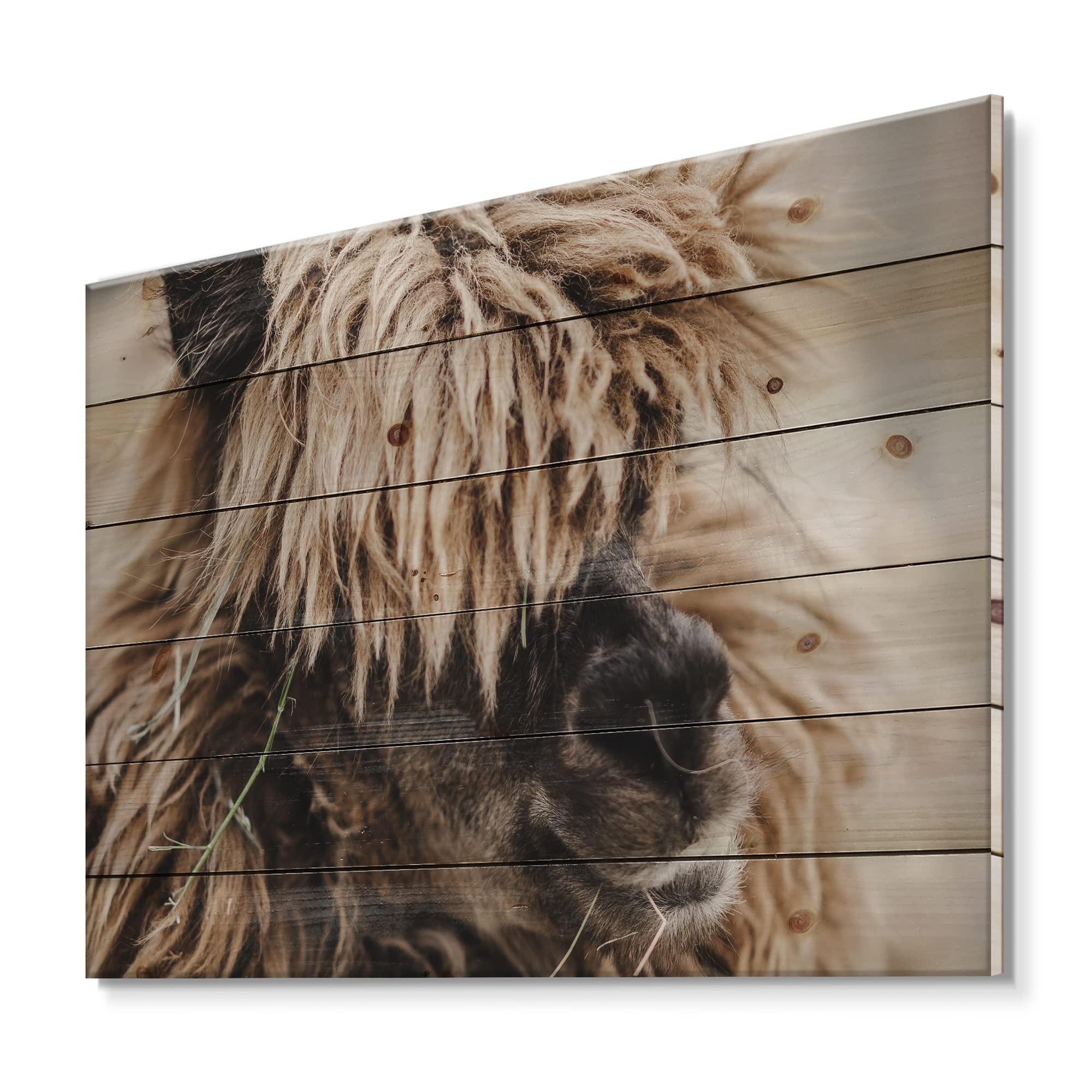 Fluffy Curly Alpaca Wood Wall Art - Farmhouse Animal Decor Printed on Natural Pine Wood - Large Rustic Wall Panels for Living Room, Bedroom & Nursery Decor