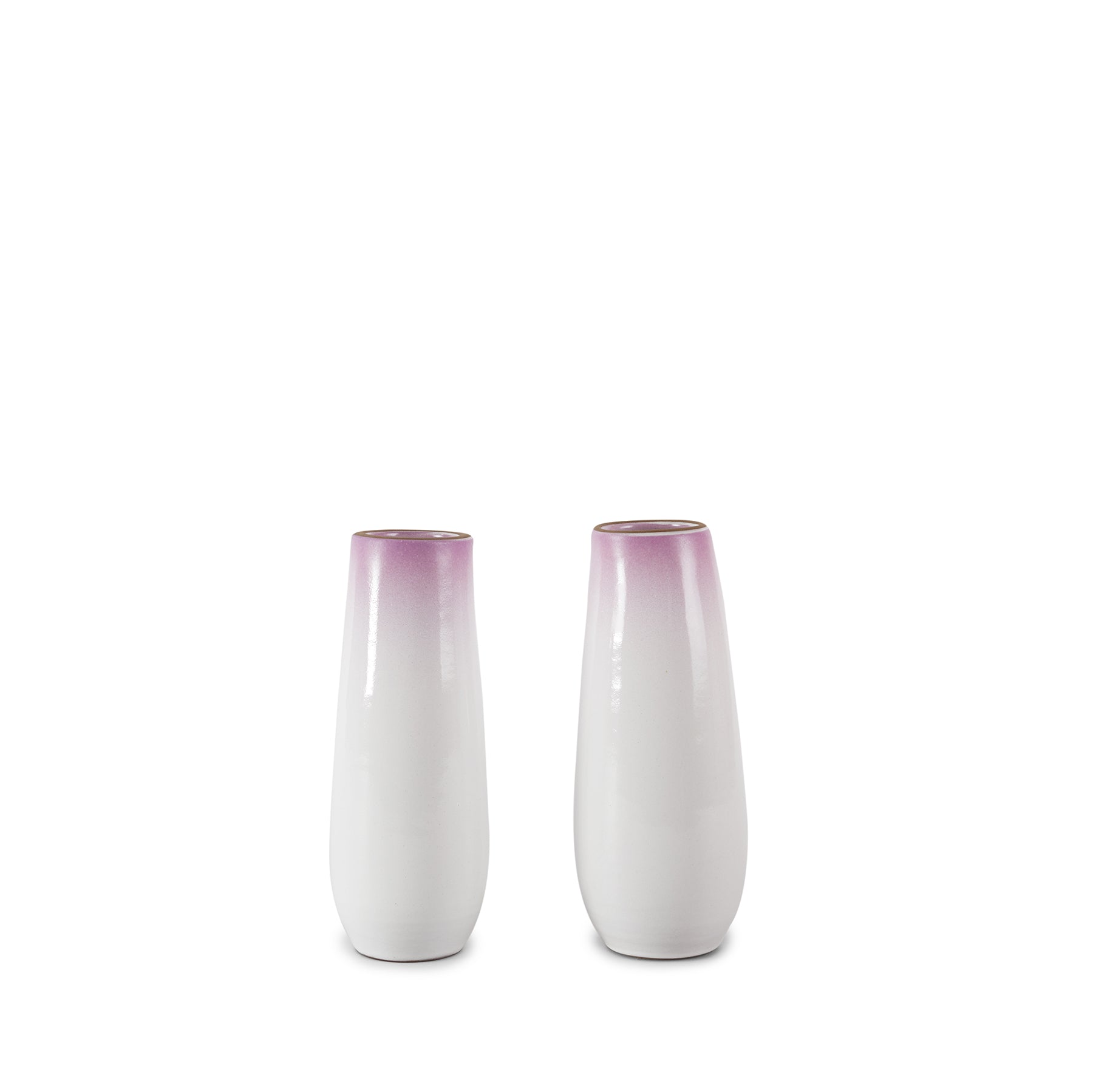 Wildflower Gradient Sprout Vase - Elegant Glass Planter for Succulents, Herbs & Small Plants | Perfect for Home Decor, Office Desk & Wedding Centerpieces