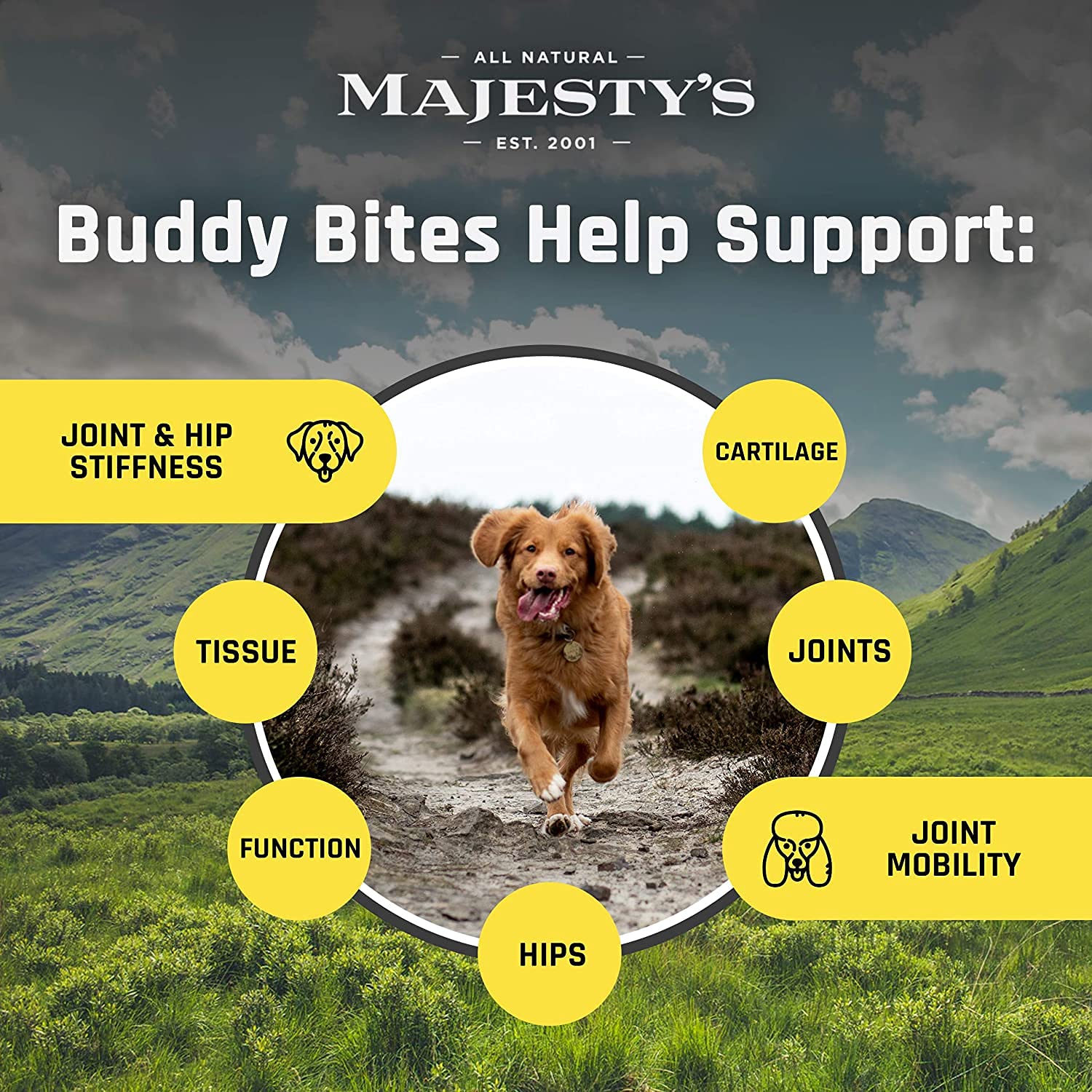 Majesty's Buddy Bites Hip and Joint Wafers for Medium & Large Dogs - Peanut Butter Coconut Oil Flavored Dog Treats - Glucosamine Chondroitin Supplement - 56 Count (8 Week Supply) - Supports Mobility & Joint Health for Active Dogs