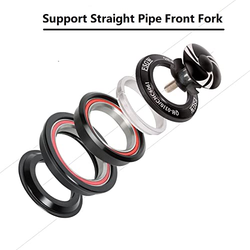 MAXXLITE 44-55mm 56MM 1-1/8 Threadless Double Sealed Lightweight MTB Headset Bearings - Compatible with Mountain Bike & Road Bicycle Straight/Tapered Tube Frame Forks - Perfect for Trail Riding, Commuting & Bike Upgrades