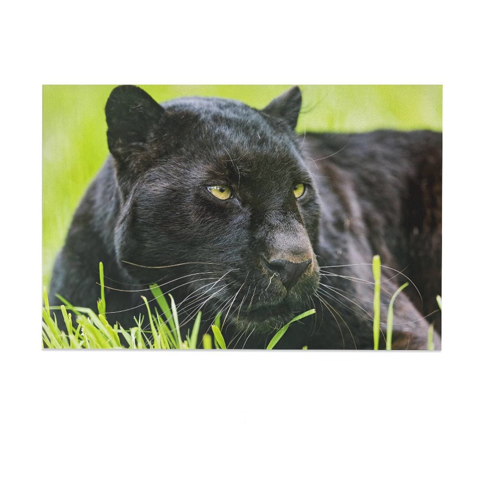Black Panther Canvas Wall Art - 12x18 inch (30x45cm) Animal Sports Landscape Painting Print for Living Room, Bedroom & Office Decor | Perfect Gift for Wildlife Lovers & Home Decoration