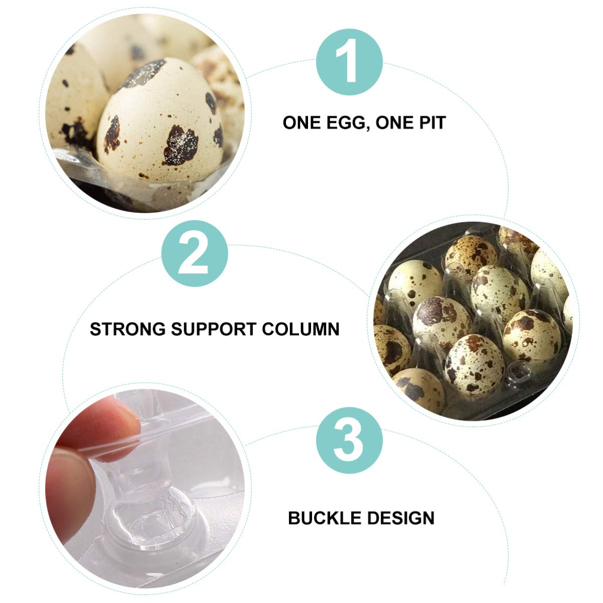 12-Piece Stackable Clear Quail Egg Storage Box - 24 Grids Small Egg Carton for Pheasant, Grouse & Hen Eggs | Refrigerator Organizer & Farm Fresh Egg Carrier | Perfect for Home Kitchen, Farm Use & Food Storage