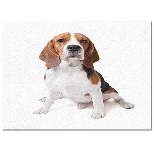 Doglop1558