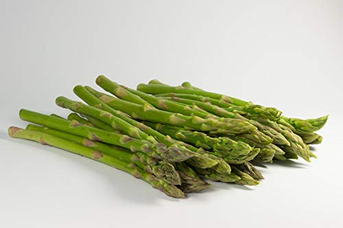 Mary Washington Asparagus Bare Root Plants - 100 Crowns for Home Gardening | Fresh Vegetable Planting & Perennial Garden Starter
