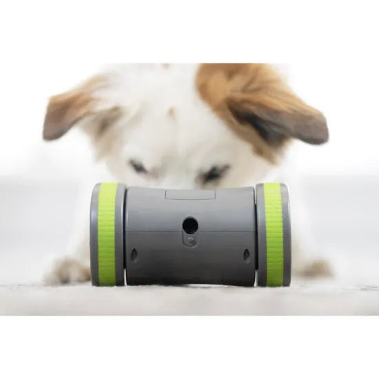 PetSafe Kibble Chase Electronic Dog Toy - Interactive Treat Dispenser for Small & Large Dogs - Fun Indoor & Outdoor Play for Active Pets