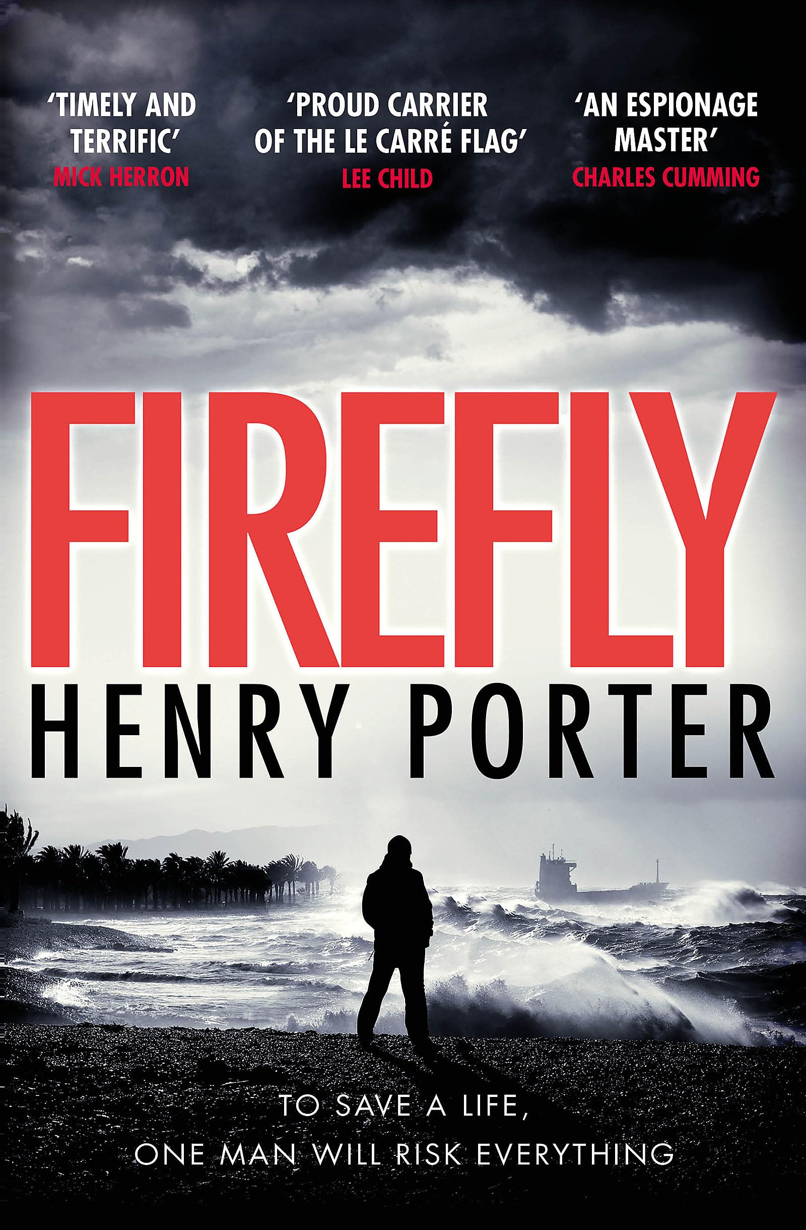 Firefly: Award-Winning Spy Thriller Novel - Heart-Pounding Chase & Suspense | Winner of Wilbur Smith Award | Perfect for Mystery Lovers & Book Clubs (Paul Samson Series)