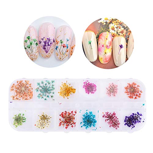 Natural Dried Flower Nail Stickers - UV Gel Acrylic Nail Art Tips for DIY Manicure & Nail Decoration (Set of 01) - Perfect for Bridal, Party & Special Occasion Nail Designs