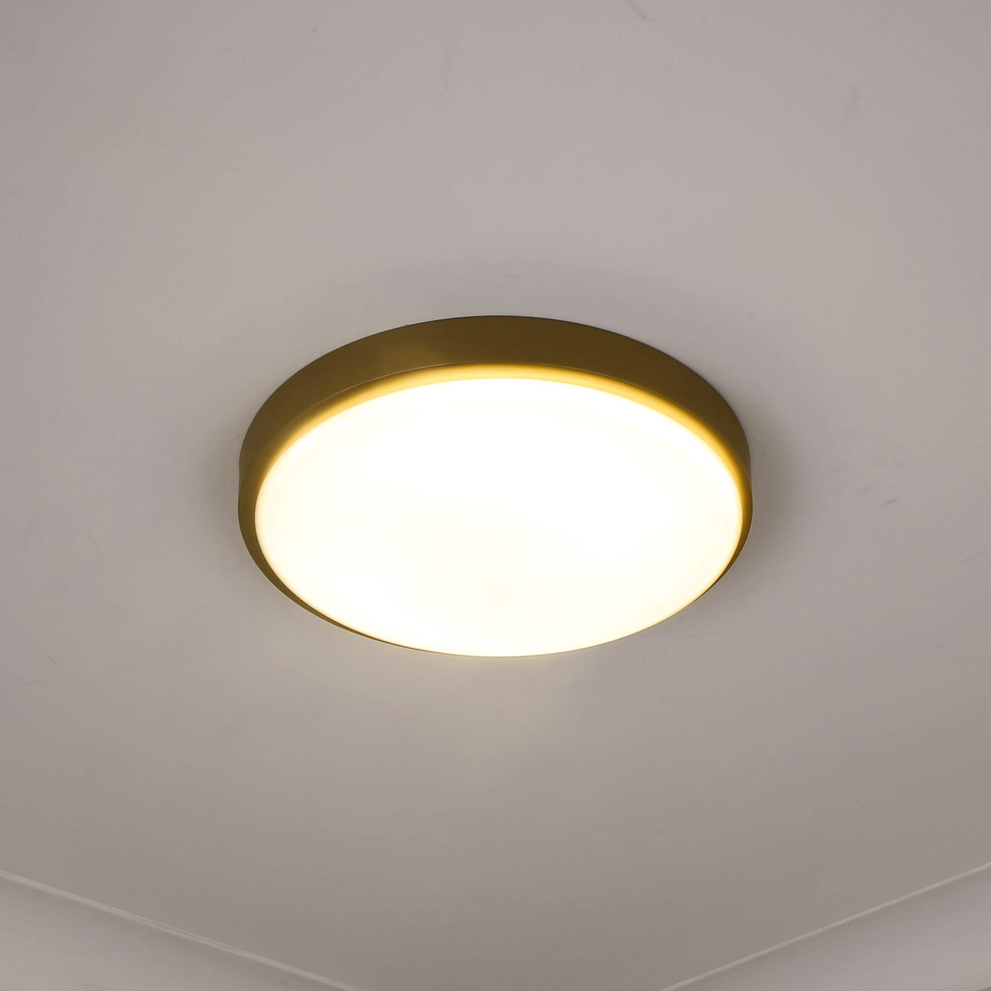 Golden Lighting Gabi Flush Mount Ceiling Light - Brushed Champagne Bronze Finish with Opal Glass Shade - Perfect for Bedroom, Hallway & Entryway Lighting