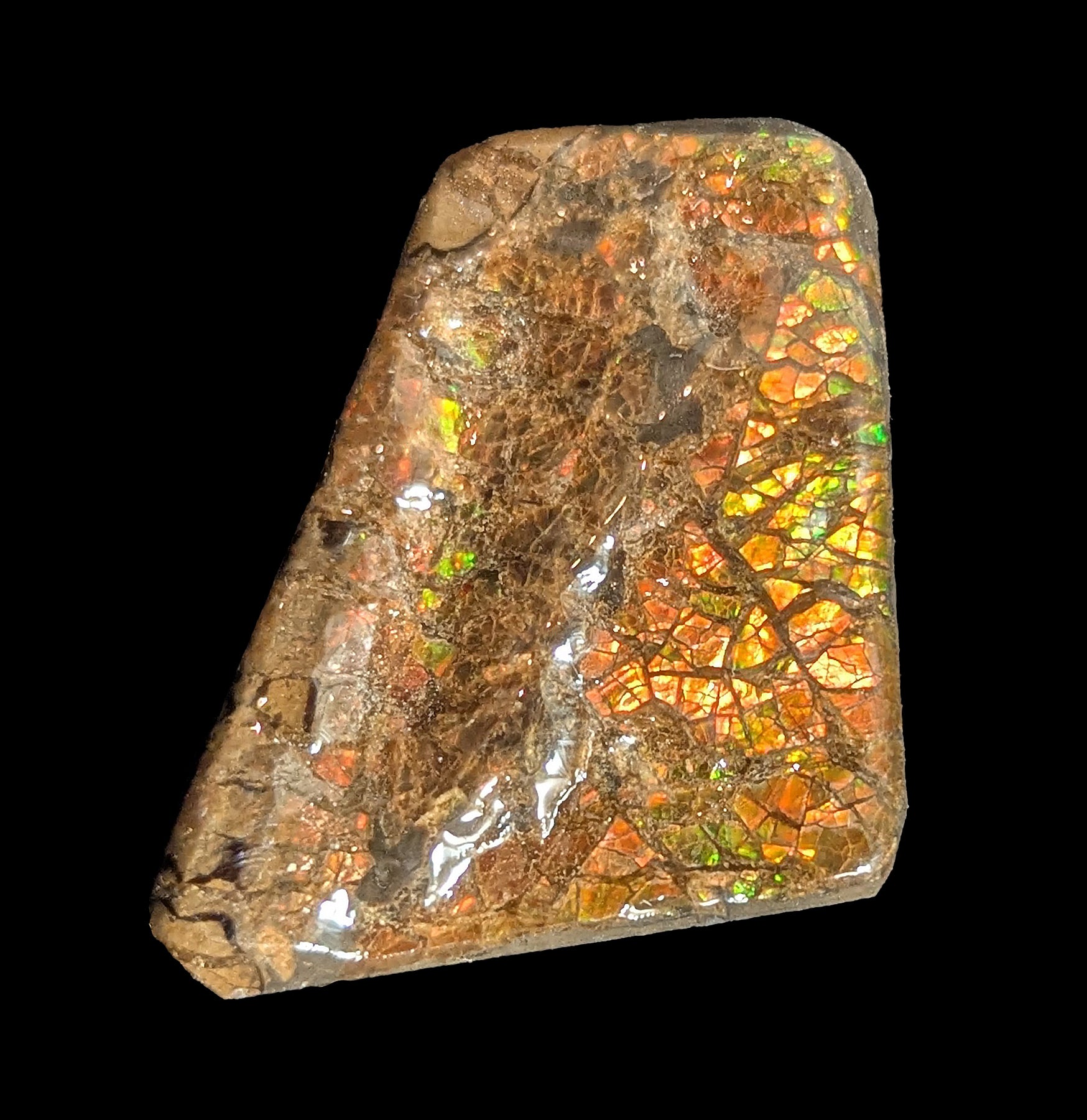 Natural Ammolite Gemstone Fragment - Rare Iridescent Fossil Shell Jewelry Making Supply for Necklaces, Rings & DIY Crafts