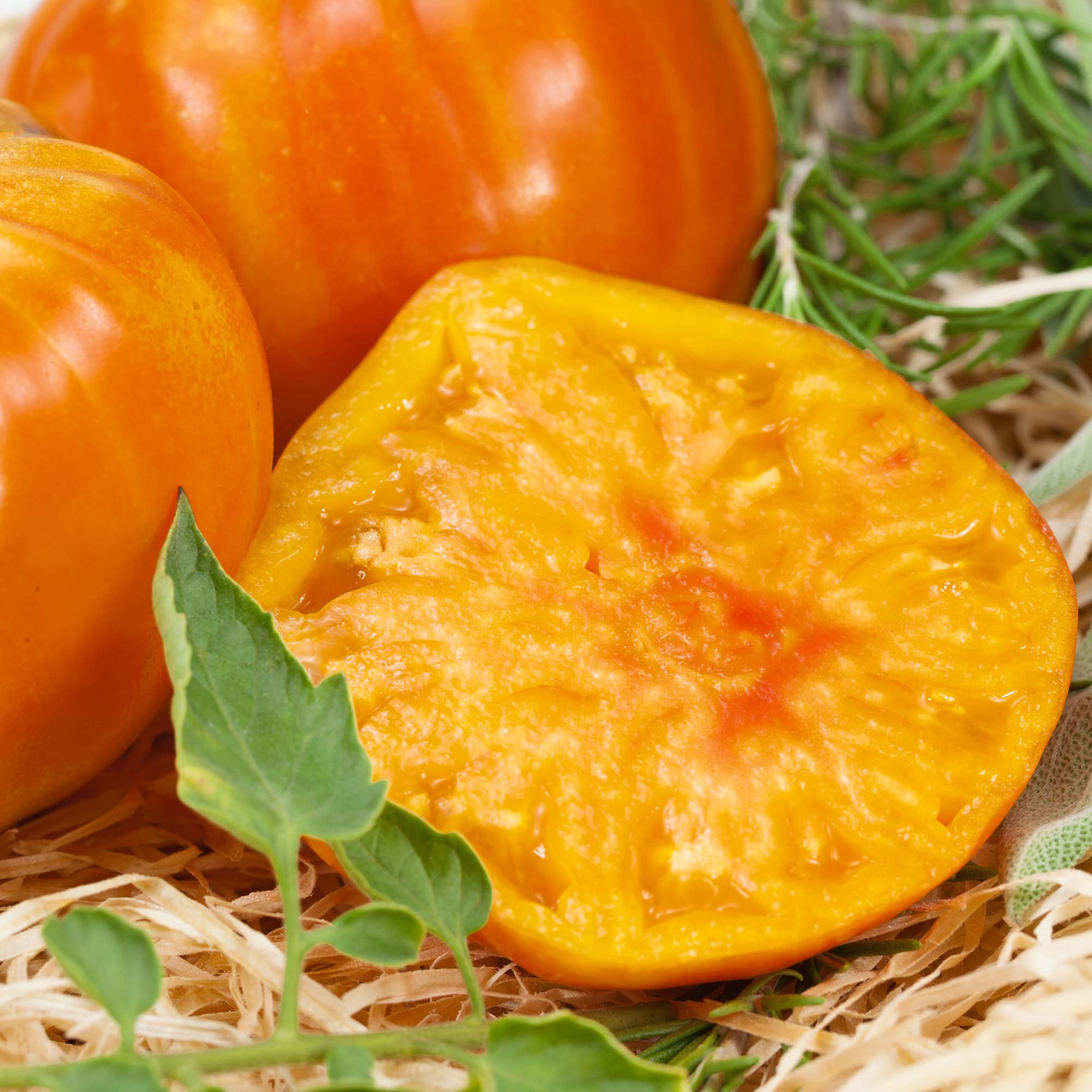 Marvel Stripe Tomato Seeds - 4 Oz (27,200 Seeds) - Non-GMO Heirloom Variety - Solanum Lycopersicum - Perfect for Home Vegetable Gardens & Organic Farming