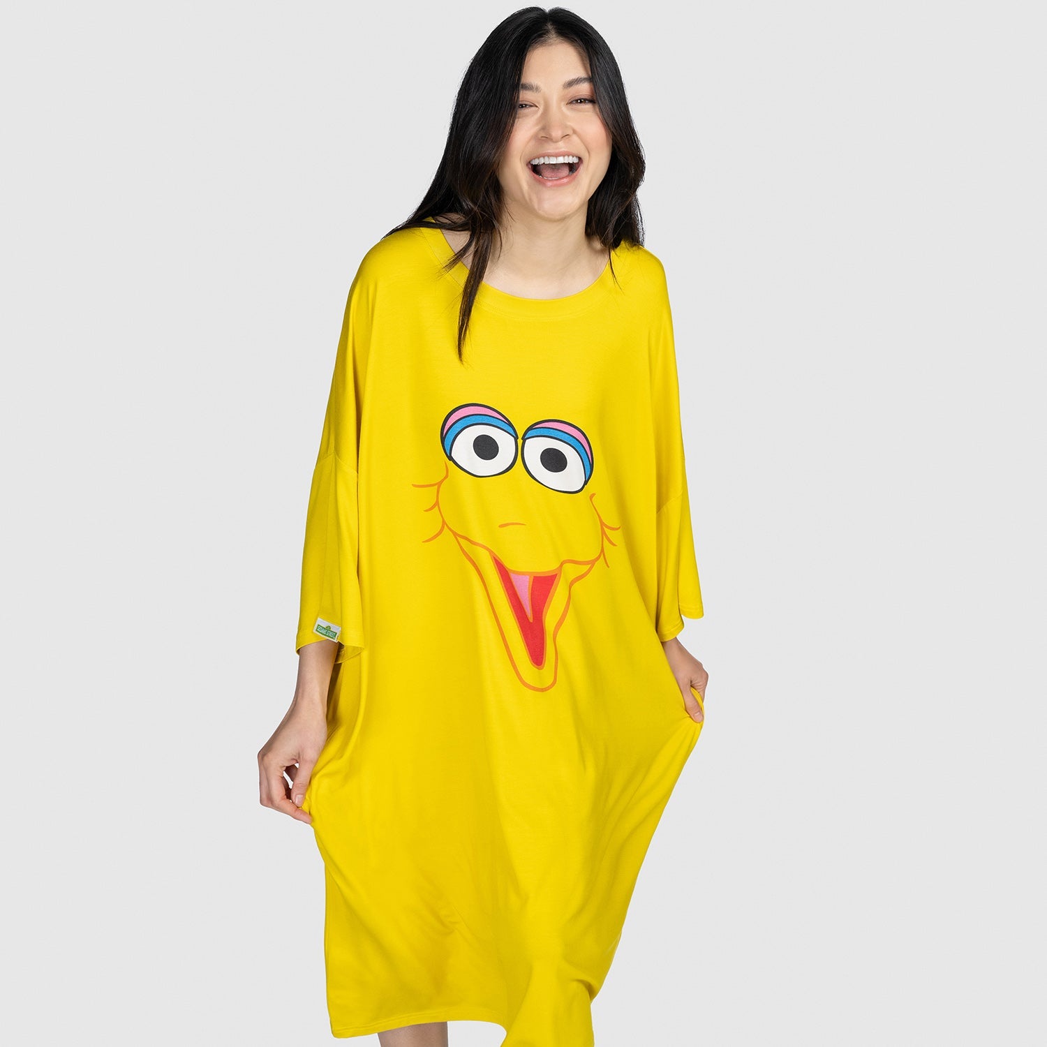 Sesame Street Big Bird Plush Toy - Soft & Huggable 12