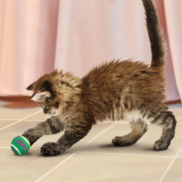 KONG Cat Toys - Active Tennis Balls with Bells for Indoor & Outdoor Play - Fun Interactive Cat Exercise Toys for Kittens & Adult Cats