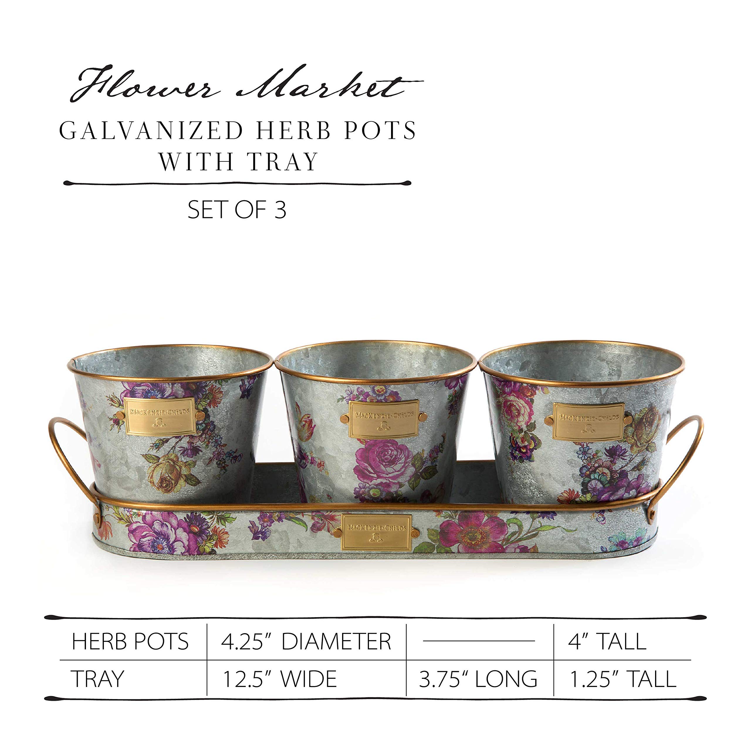 Galvanized Metal Herb Pots with Tray - Set of 3 Rustic Flower Planters for Kitchen, Garden & Indoor Decor | Perfect for Growing Basil, Mint & Herbs