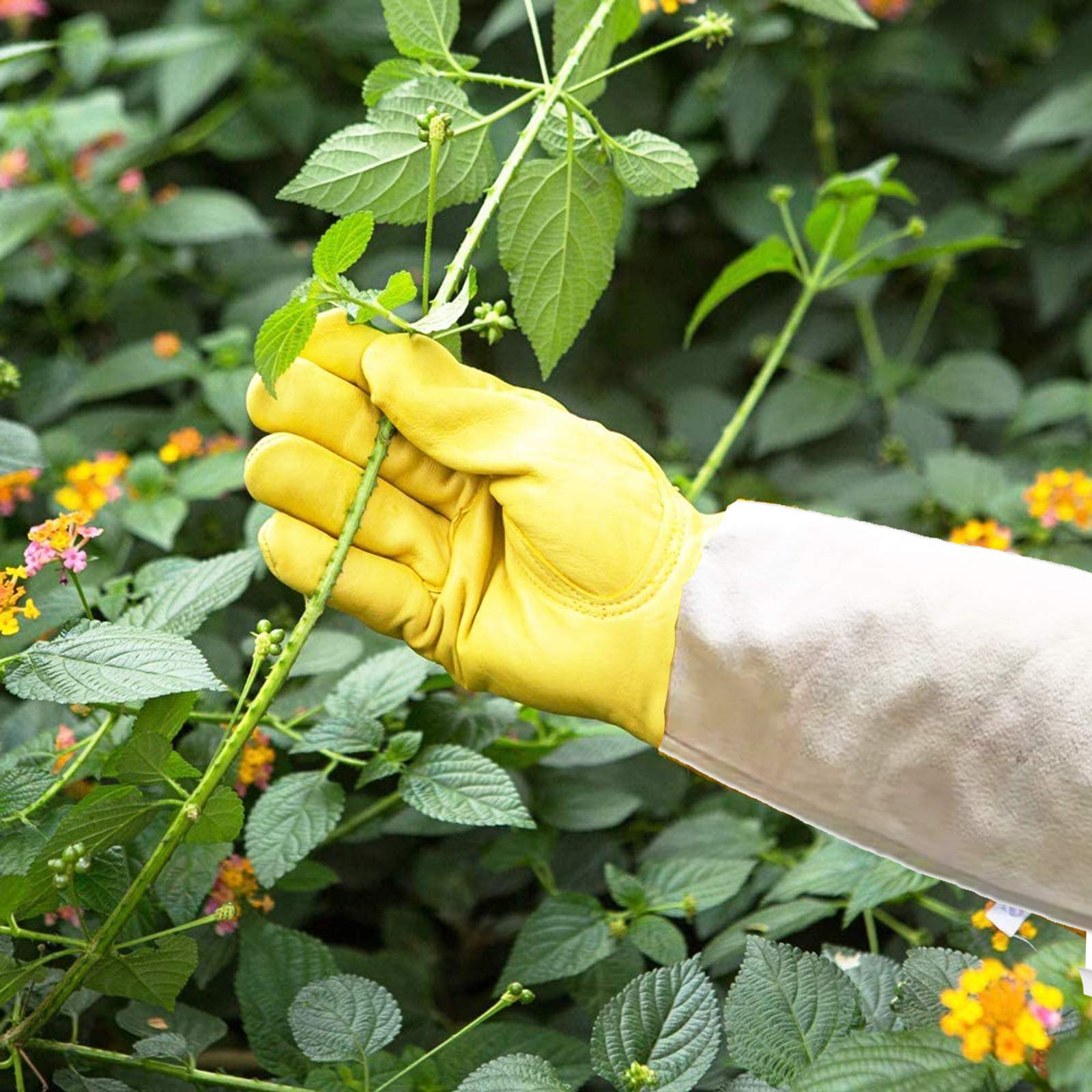 Best Thorn Proof Gardening Gloves for Roses - Durable Goatskin Leather Long Gloves for Pruning, Planting & Protection - Ideal for Rose Bushes, Cactus Handling & Thorny Plant Care