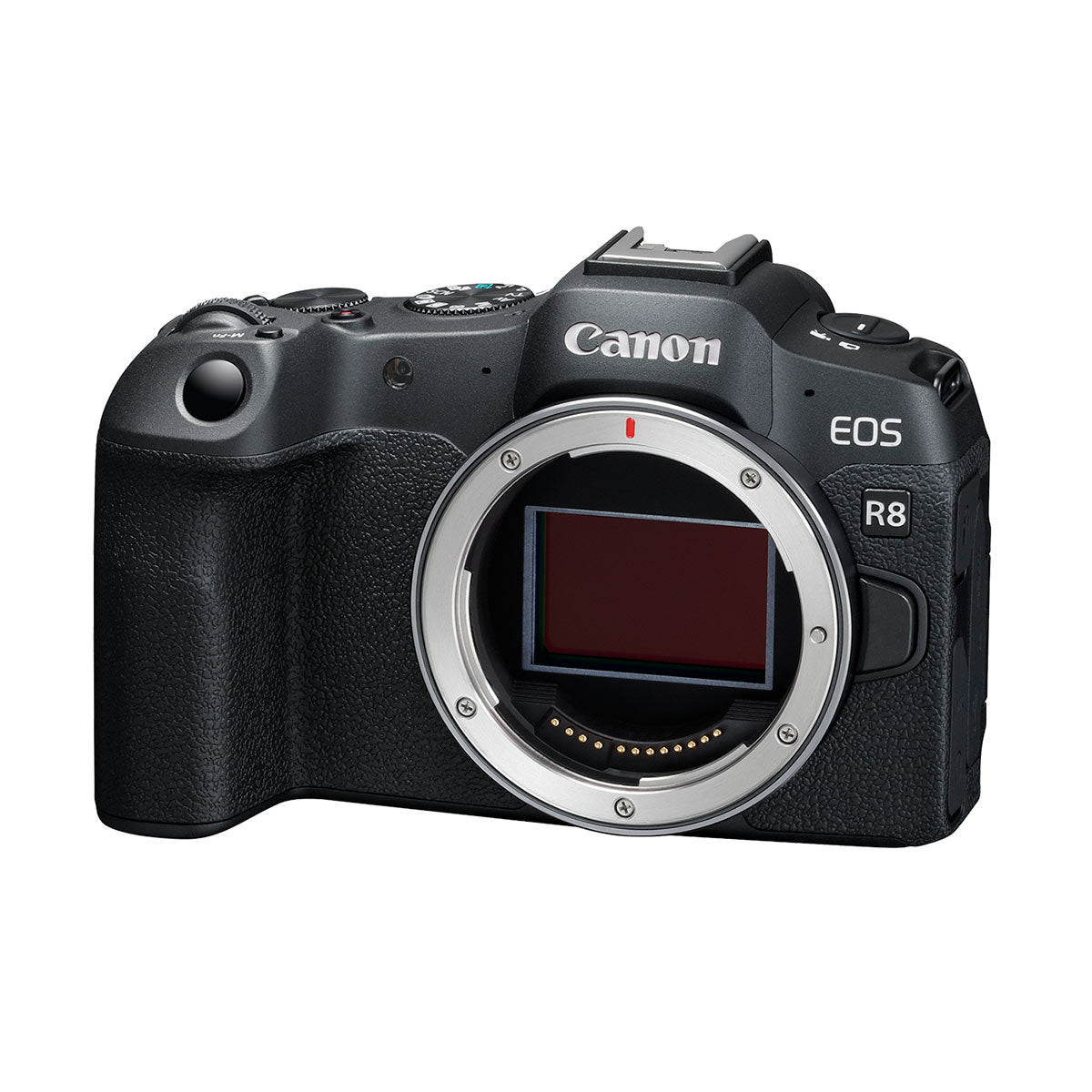 Canon EOS R8 Full Frame Mirrorless Camera with RF 24-50mm f/4.5-6.3 IS STM Lens Kit - Professional Photography for Travel, Vlogging & Content Creation