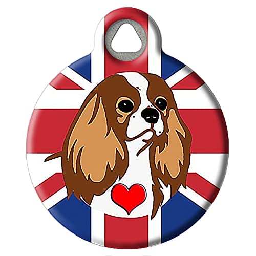Cavalier King Charles Spaniel (Blenheim)