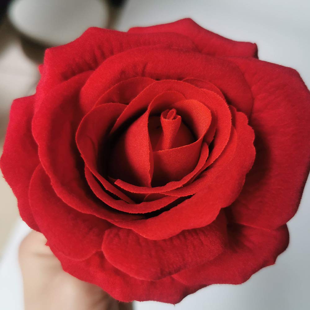 Red Silk Rose in Glass Dome with LED Light - Romantic Artificial Flower with Fallen Petals for Mother's Day, Valentine's Day, Anniversary & Birthday Gifts - Perfect for Home Decor, Wedding Centerpieces & Romantic Surprises