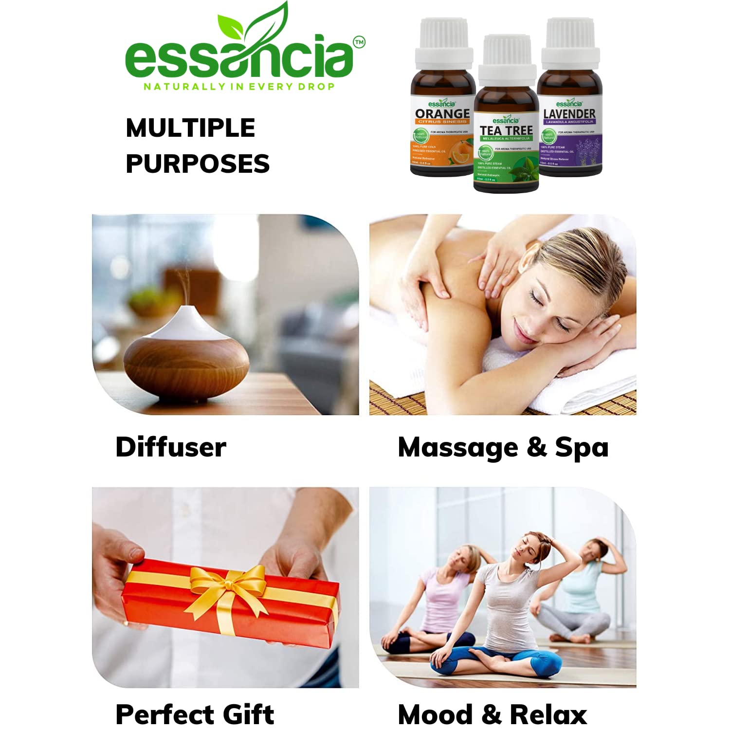 Essencia Naturally in Every Drop - Organic Cold Pressed Rosehip & Jojoba Oil Set (2 Pack) for Face Glow, Wrinkles, Acne Prone Skin, Healthy Nails & Massage | Natural Skincare & Aromatherapy for Daily Beauty Routine