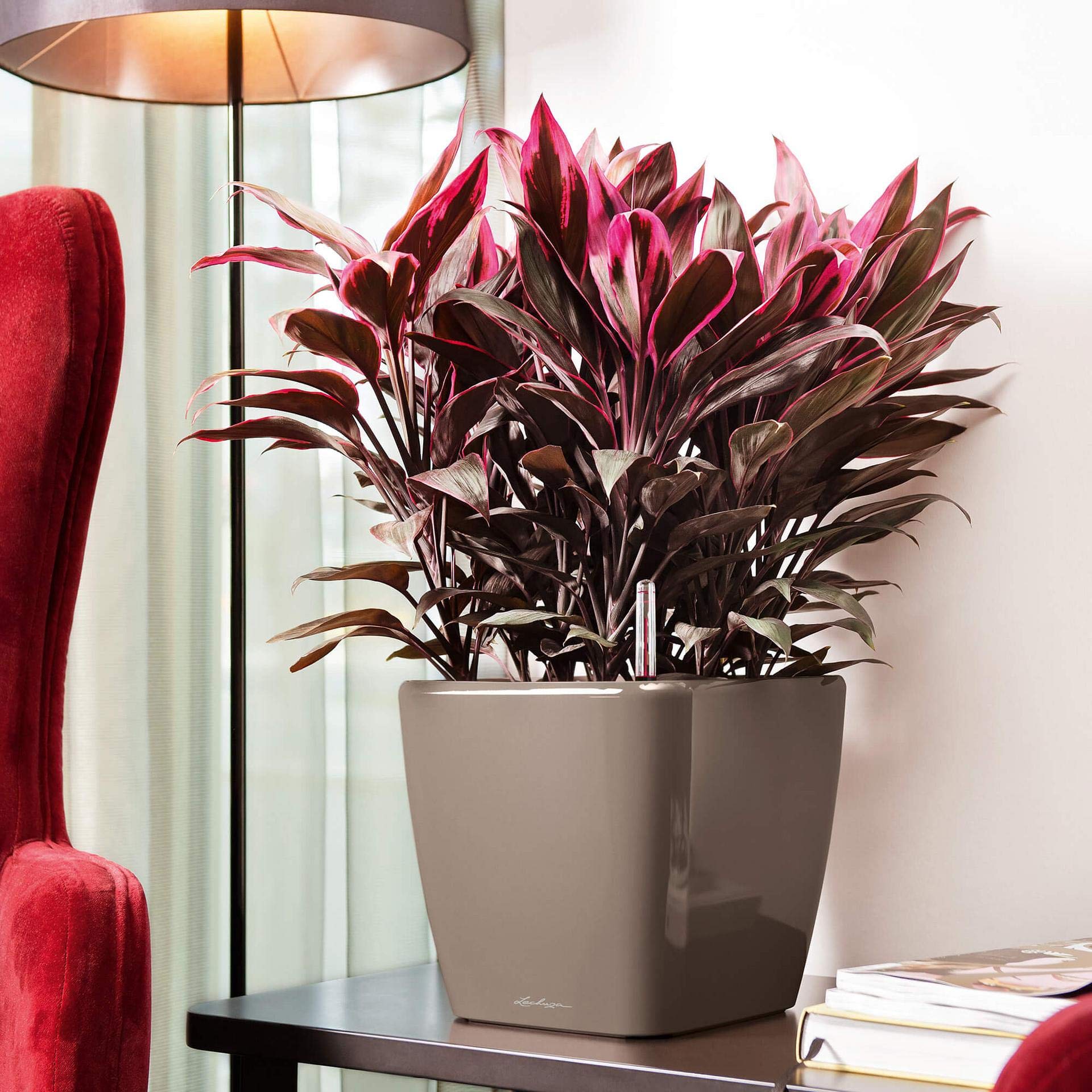 Lechuza Quadro Premium LS 28 Self-Watering Planter - Taupe High Gloss Finish (Model 16145) | Modern Indoor Flower Pot for Home, Office & Balcony Decor