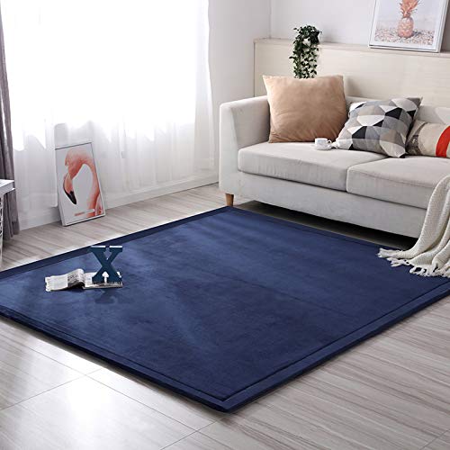 Loartee Coral Velvet Crawling Rug & Area Rug (6.0'x6'8