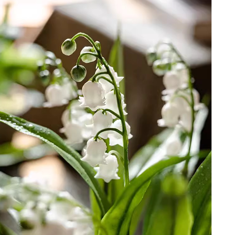 Artificial Lily of the Valley Flowers in Decorative Brown Pot - Perfect for Home Decor, Wedding Centerpieces & Office Desk Decorations