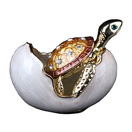 Turtle in Hatching Egg
