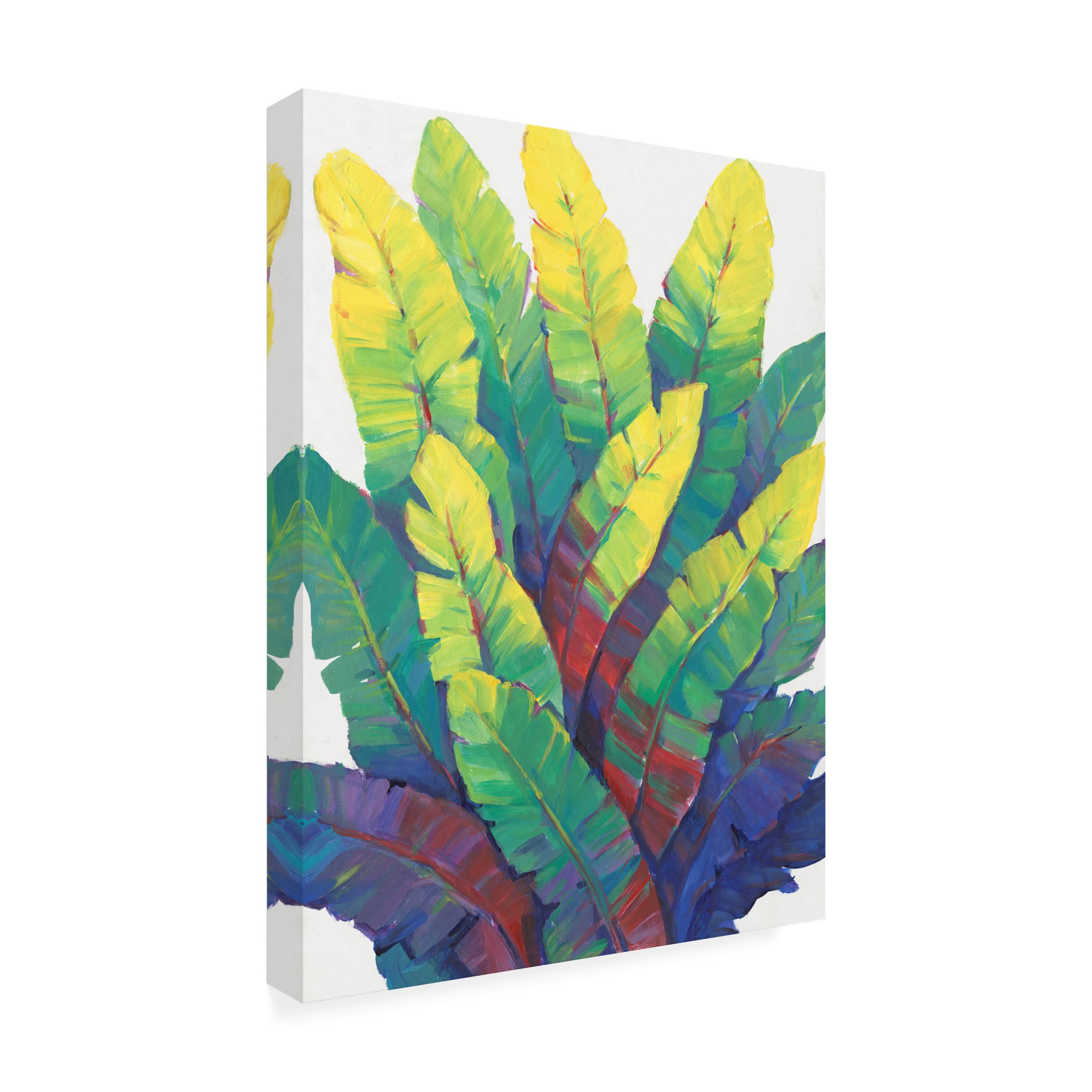 Trademark Fine Art 'Sunlit Banana Leaves I' Canvas Wall Art by Tim O'Toole - Tropical Home Decor for Living Room, Bedroom & Office
