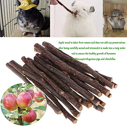 21PCS Natural Wooden Hamster Chew Toys Set - Teeth Care & Exercise Toys for Guinea Pigs, Rabbits, Syrian Rats, Chinchillas, Gerbils - Small Pet Dental Health & Play Accessories for Cage Enrichment