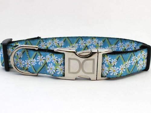 Custom Daisy Dog Collar with Optional Matching Leash - Adjustable XS/S Size for Small Dogs - Perfect for Walks, Training & Fashion Pet Accessories