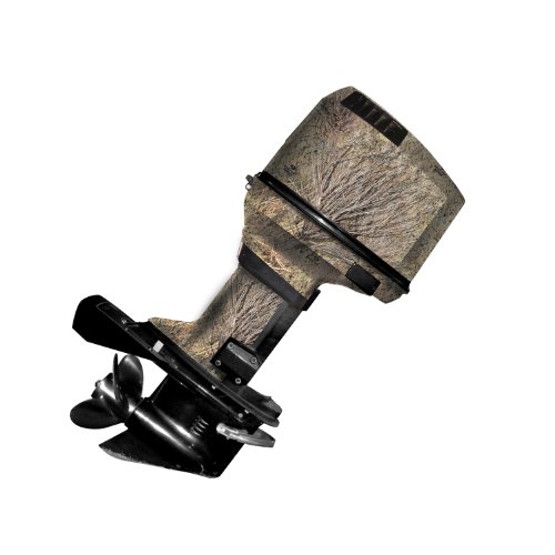 Brush