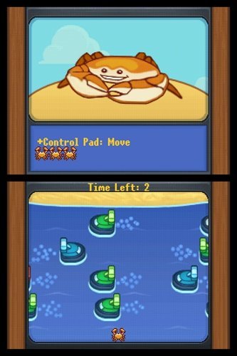 Refurbished Nintendo DS Carnival Games - Classic Party & Family Fun Video Game for Kids & Adults - Perfect for Travel, Parties & Indoor Entertainment