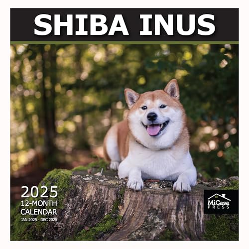 06 - Shiba Inus