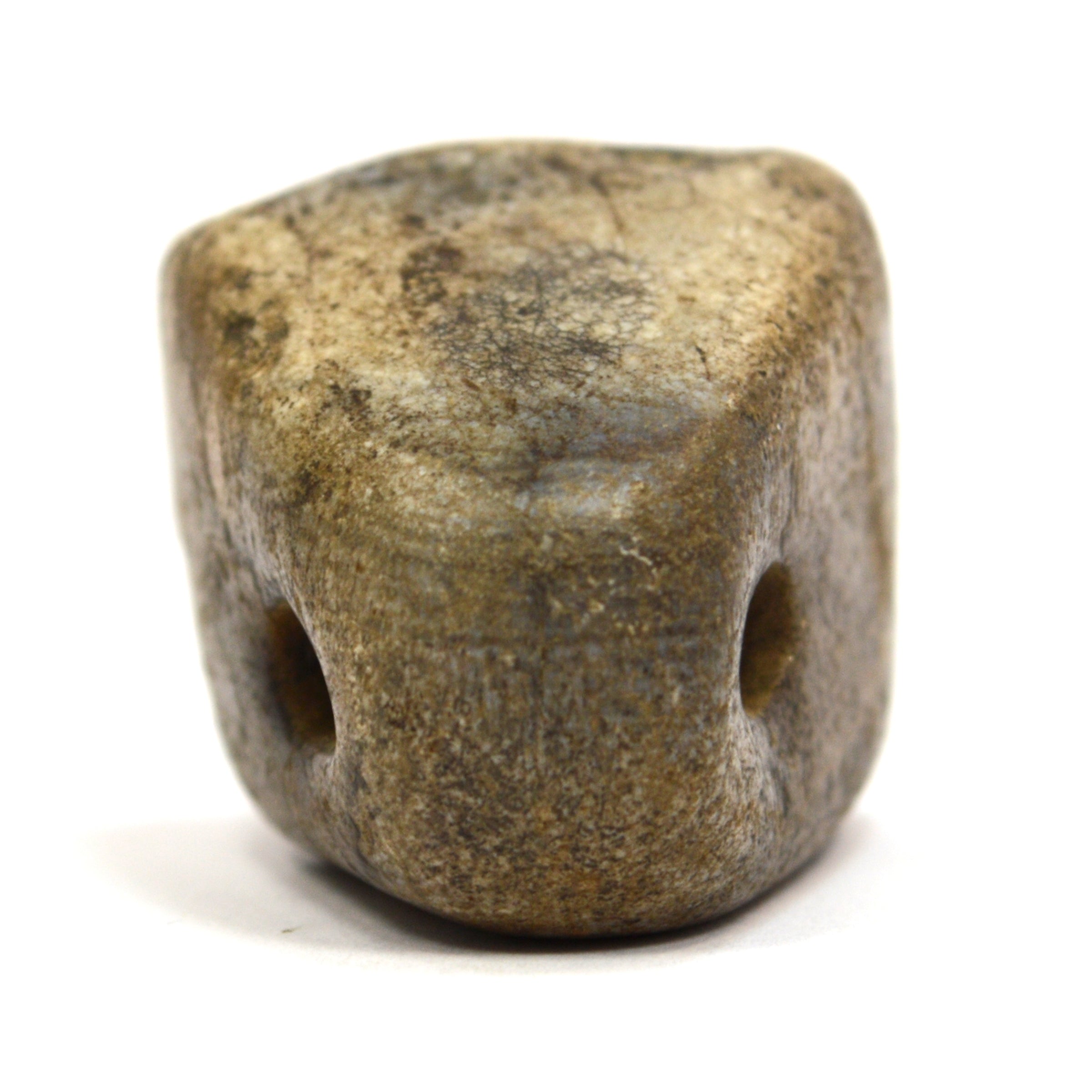 Ancient Near East Steatite Conoid Seal Stamp - Authentic Tel Megiddo Artifact with Dog/Cat/Hyena Animal Carving | Perfect for Archaeology Collectors, History Enthusiasts & Ancient Artifact Displays