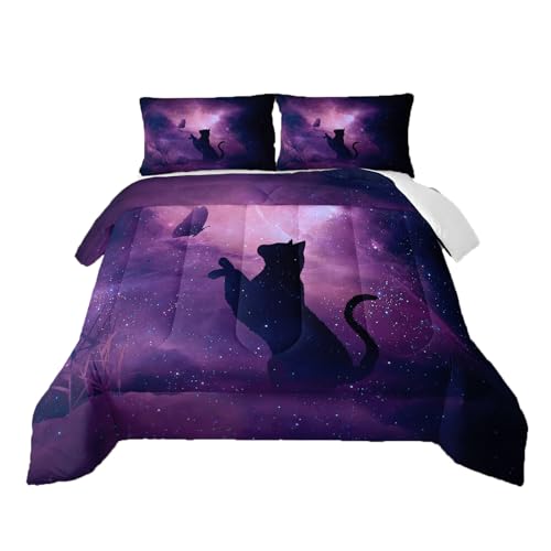 Galaxy Cat 6