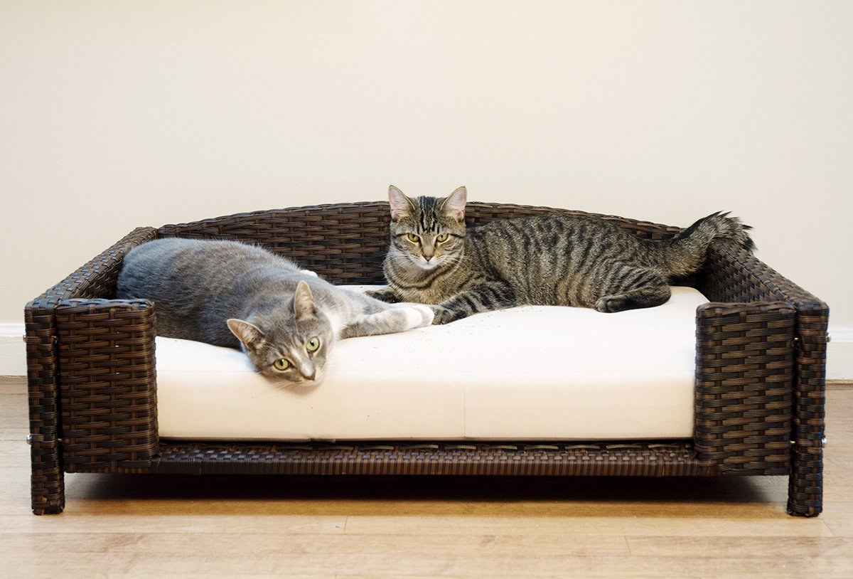 Iconic Pet Rectangular Rattan/Wicker Dog & Cat Bed with Metal Frame - Water Resistant, Machine Washable Cushion Cover - Indoor/Outdoor Pet Sofa for Small, Medium & Large Pets - Perfect for Living Room, Patio or Bedroom