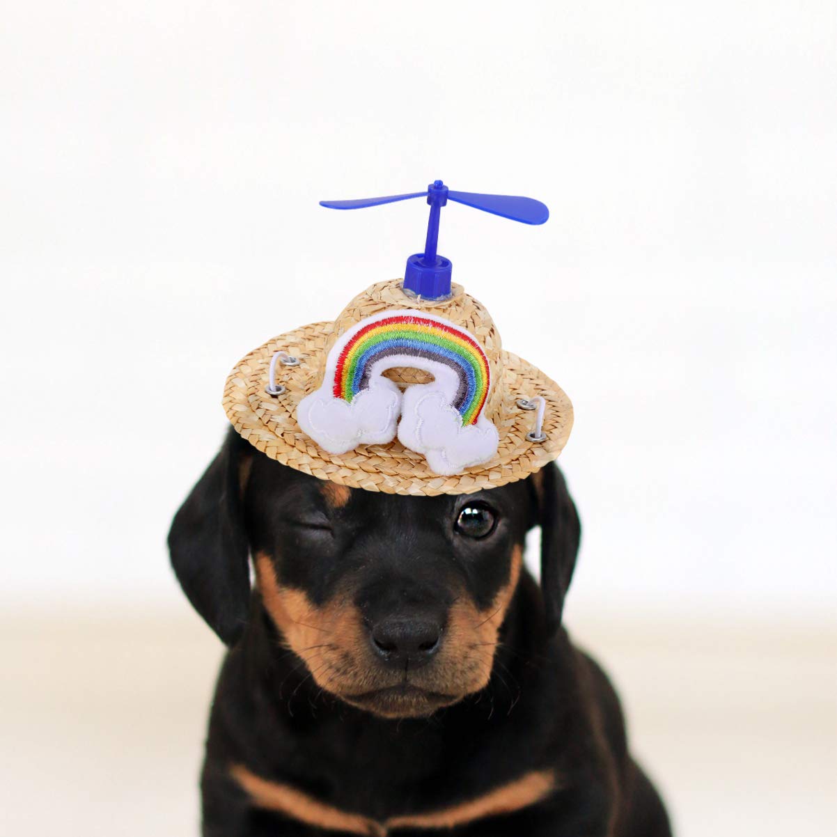 Balacoo Dog Summer Hat - Breathable Straw Dog Sun Hat for Beach & Outdoor - Mexican Fiesta Party Costume Accessory for Small & Large Dogs - Perfect for Pool, Vacation, and Festive Celebrations