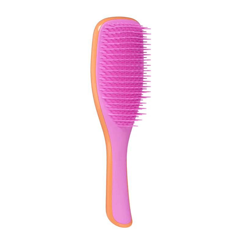 Tangle Teezer Wet Detangling Hair Brush for Wet & Dry Hair - Detangles Knots Painlessly, Perfect for Shower, Swimming & Styling