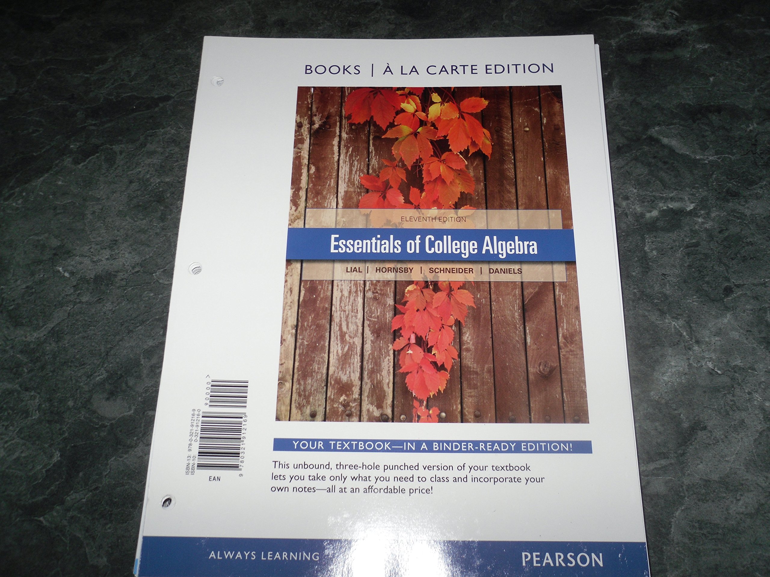 The Journey to Mastering College Algebra: A Story of Determination and Success