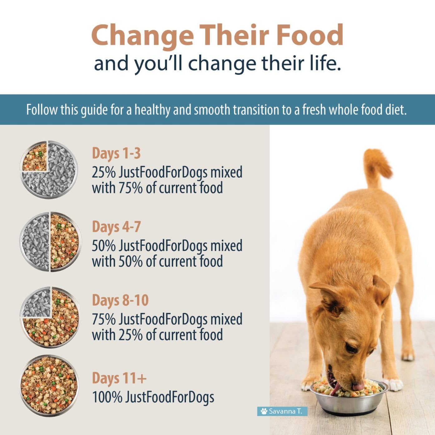 JustFoodForDogs Frozen Fresh Dog Food - Human Grade Chicken & Rice Recipe, 72oz (7 Pack) | Complete Meal or Food Topper for Healthy Dogs - Perfect for Picky Eaters & Sensitive Stomachs