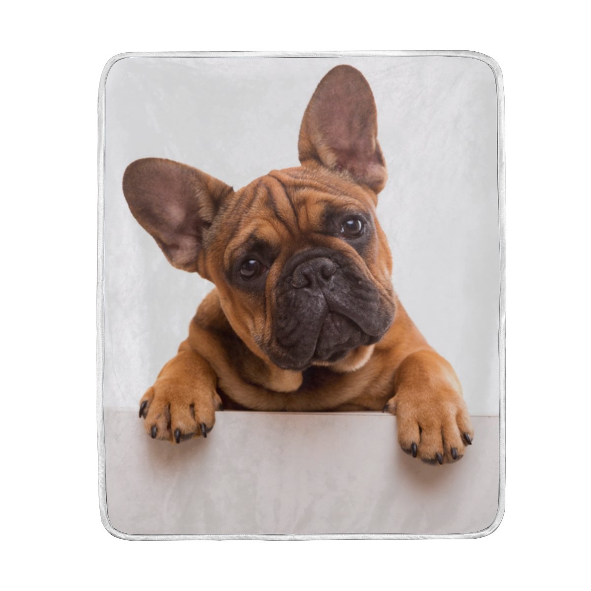 Funny French Bulldog Puppy Soft Flannel Fleece Blanket - Cozy Warm Throw for Kids & Adults - 50x60 Inches - Perfect for Bed, Sofa, Couch, Beach & Winter Snuggling
