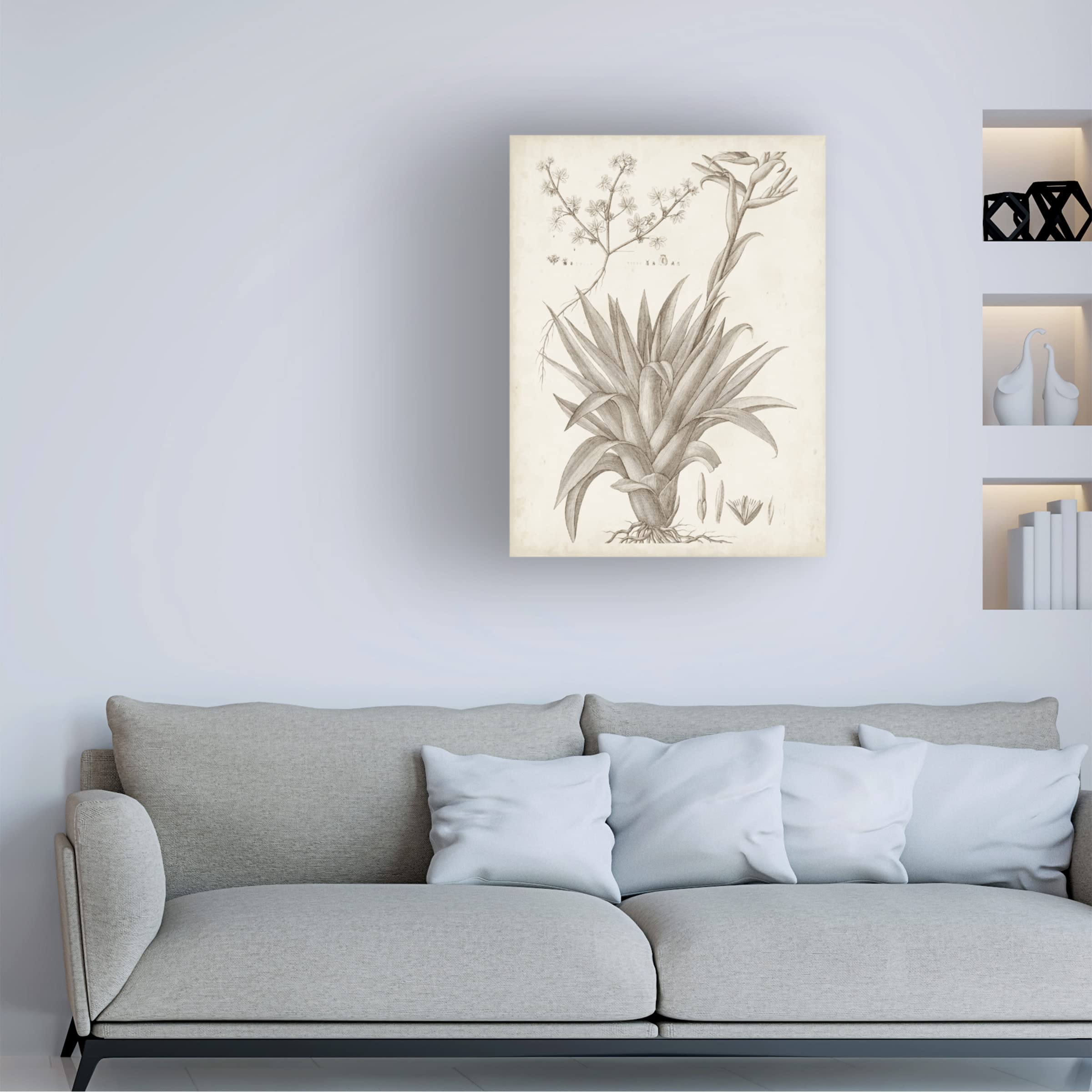 Sepia Exotic Plants IV Canvas Wall Art Print by Vision Studio - Botanical Home Decor for Living Room, Bedroom & Office