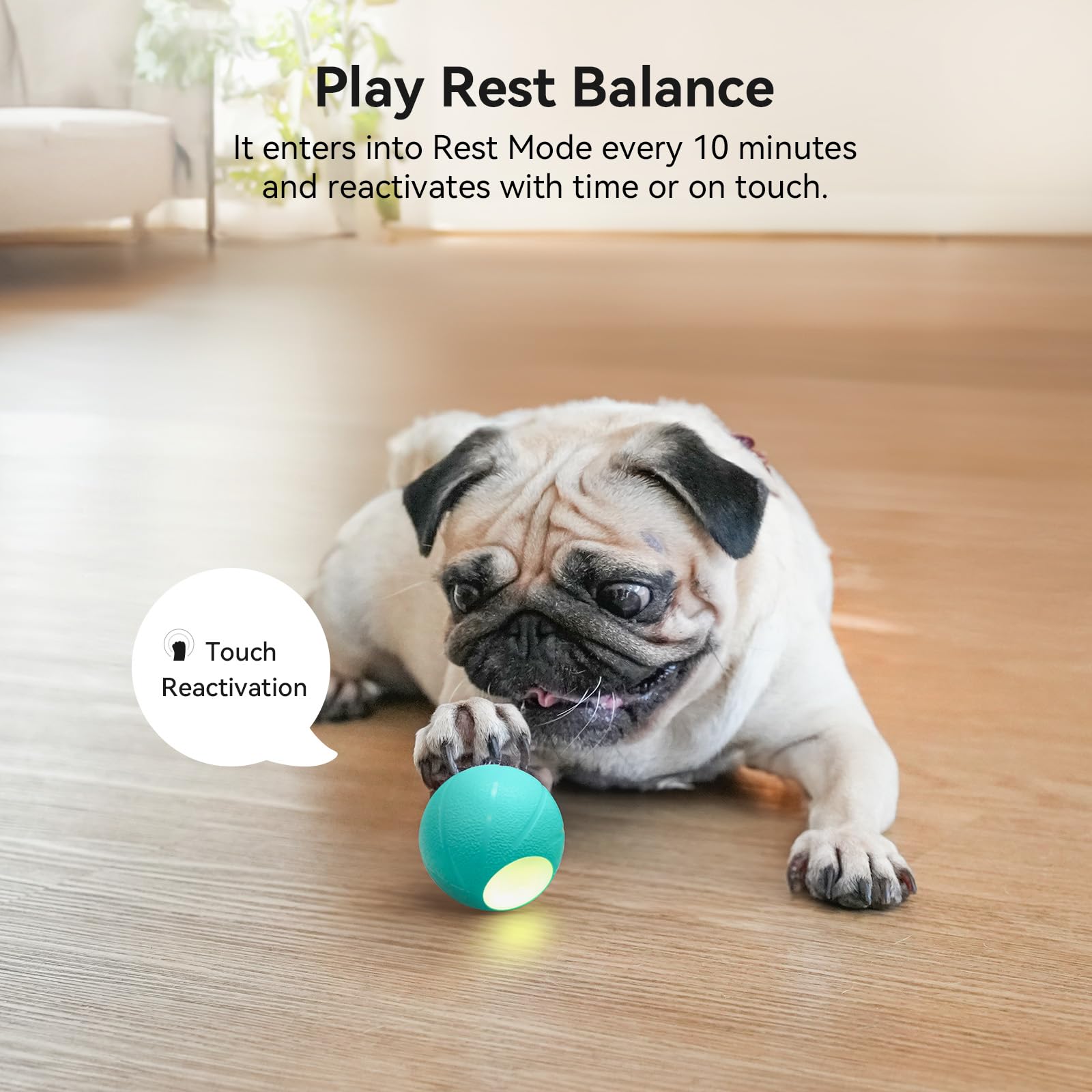 Interactive Smart Dog Ball Toy - Wicked Ball SE with 3 Modes, Self-Moving Bouncing Rotating LED Ball for Small Dogs | Indoor/Outdoor Play, Training & Exercise