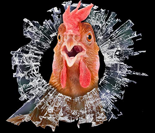 15 Inch Chicken Vinyl Decal Sticker for Cars, Windows, Walls, Fridge, Toilet - Durable, Waterproof, Easy to Apply for Home, Office, and Outdoor Decor