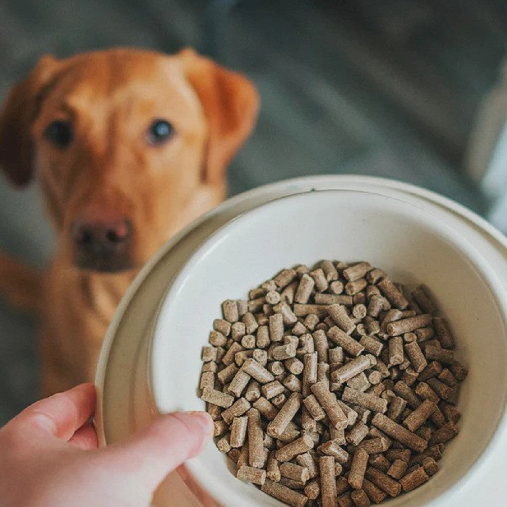 Premium Cold Pressed Duck Dry Dog Food for Small Breed Adults - Grain-Free, Hypoallergenic & Nutrient-Rich Formula for Sensitive Stomachs - Perfect for Indoor Dogs & Apartment Living
