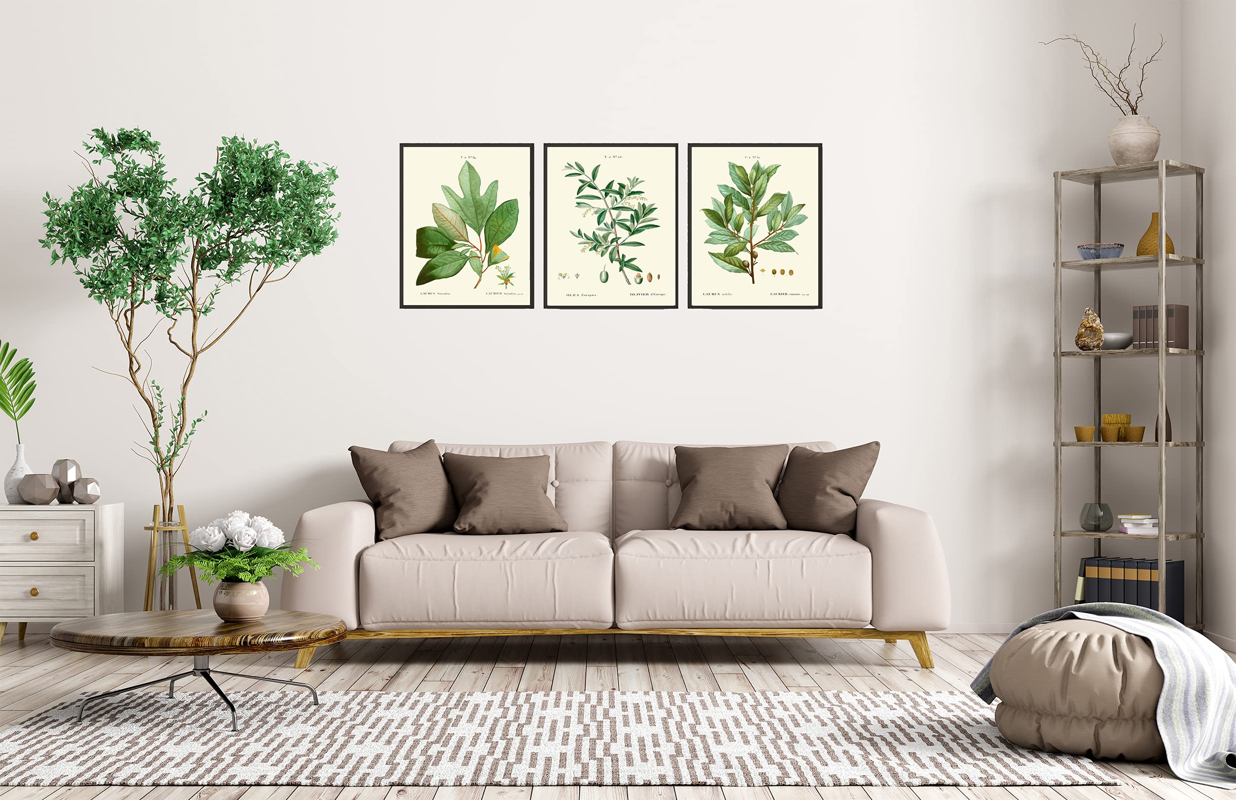 Bay Laurel Olive Herb Spice Botanical Kitchen Wall Art Print Set of 3 - Mediterranean Seasoning Cooking Decor - Unframed 16x20 Inches - Perfect for Home Kitchen, Dining Room & Farmhouse Decor