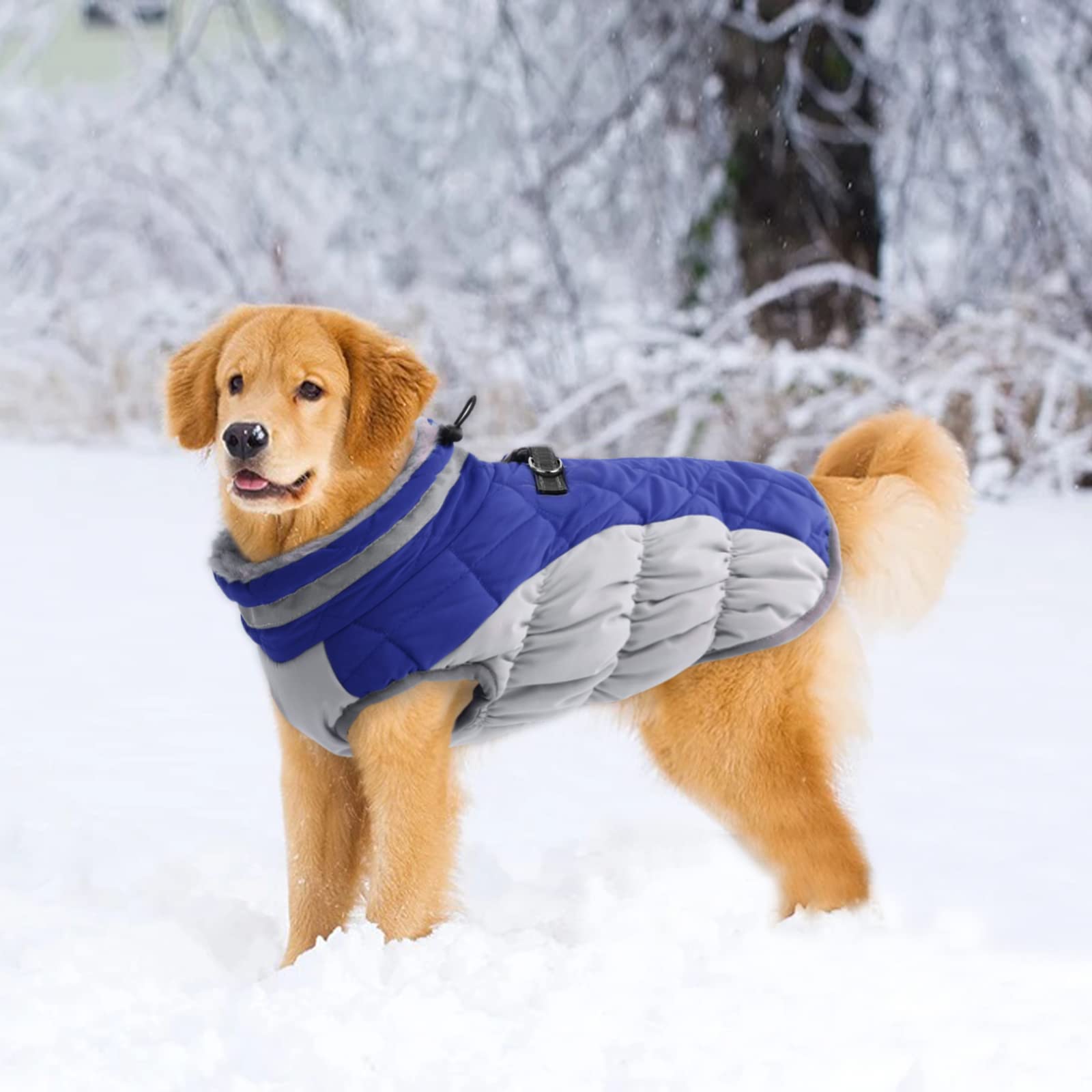 Lelepet Warm Dog Winter Coat - Windproof Waterproof Turtleneck Fleece Jacket with Zipper for Small, Medium & Large Dogs | Cold Weather Protection for Outdoor Walks & Winter Adventures