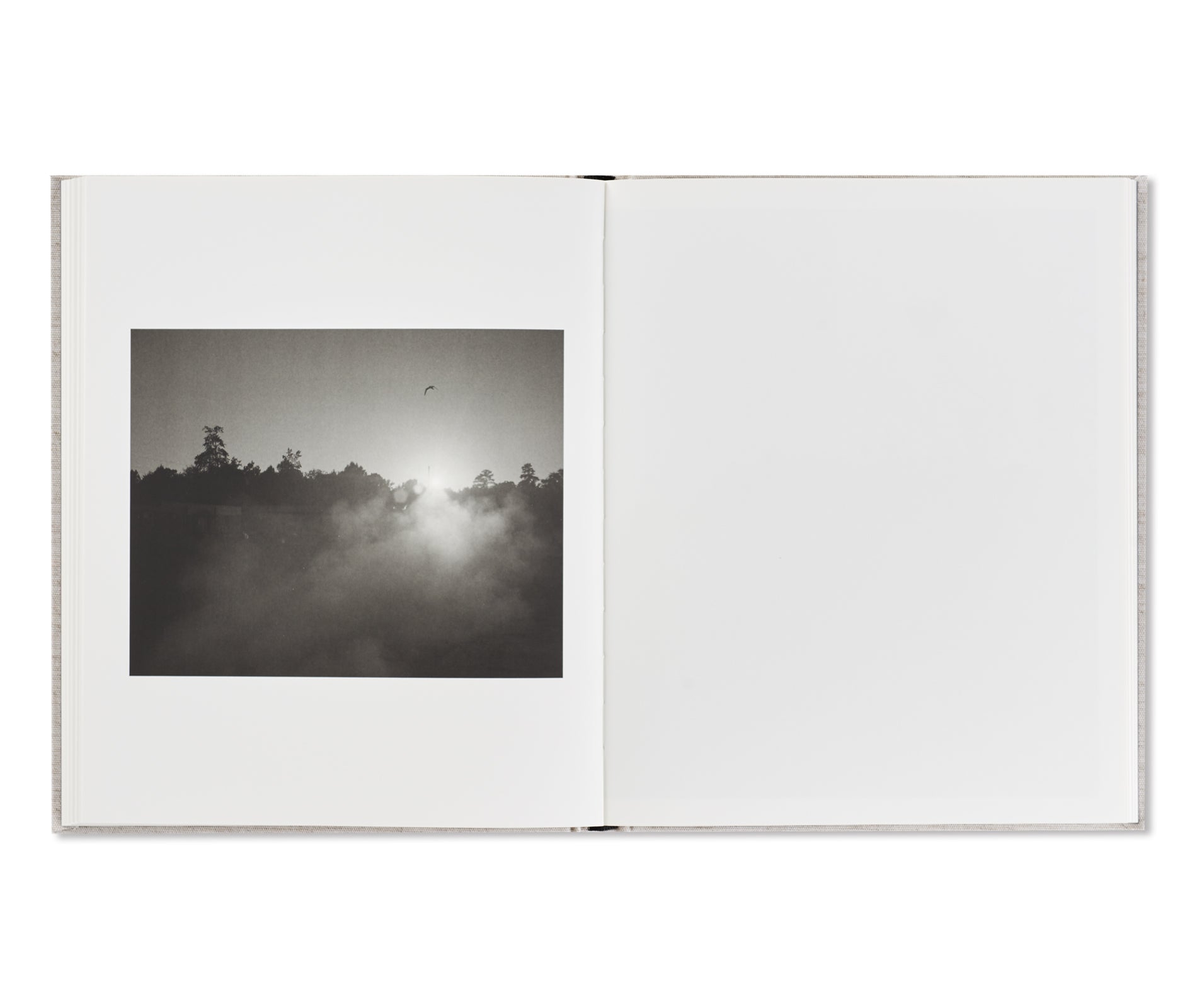 ONE SUN, ONE SHADOW by Shane Lavalette - Signed Photography Book - Perfect for Art Collectors & Photography Enthusiasts