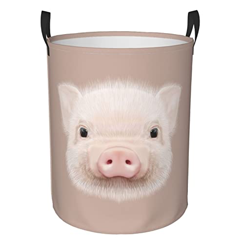 Little Pig
